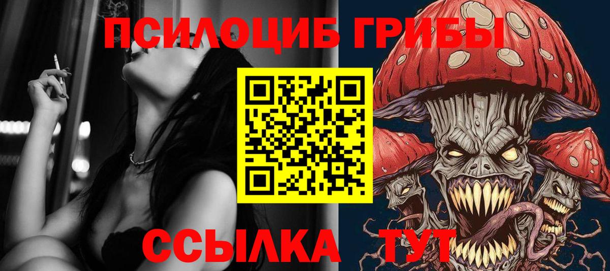 Галлюциногенные грибы Cubensis Егорьевск